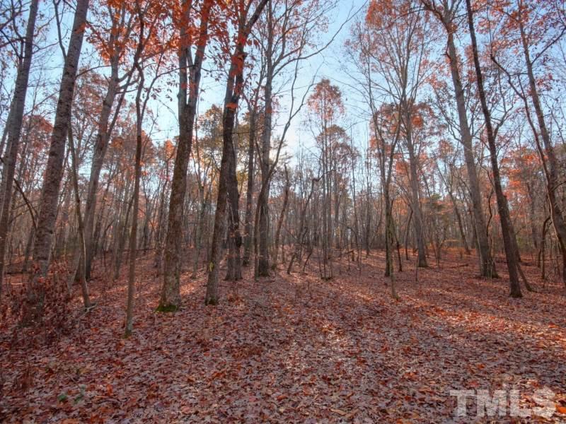 Lot 27 Buckhorn Ridge Road Mebane, NC 27302 - Photo 8 of 10 Gallery Image 8