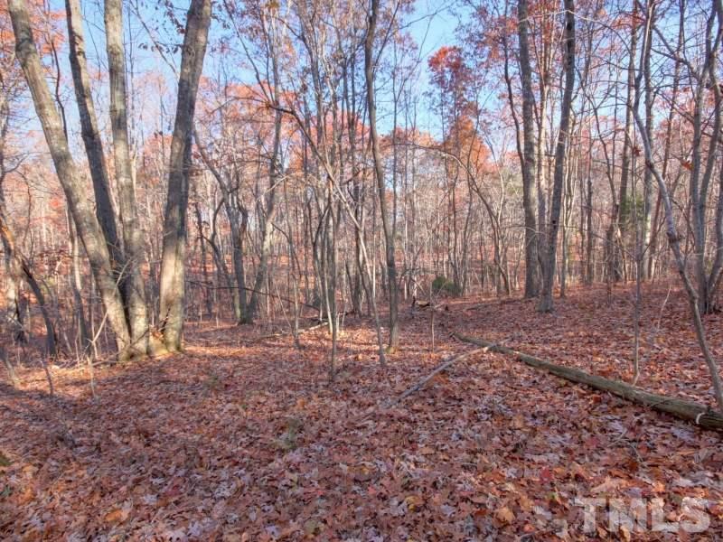 Lot 27 Buckhorn Ridge Road Mebane, NC 27302 - Photo 10 of 10 Gallery Image 10