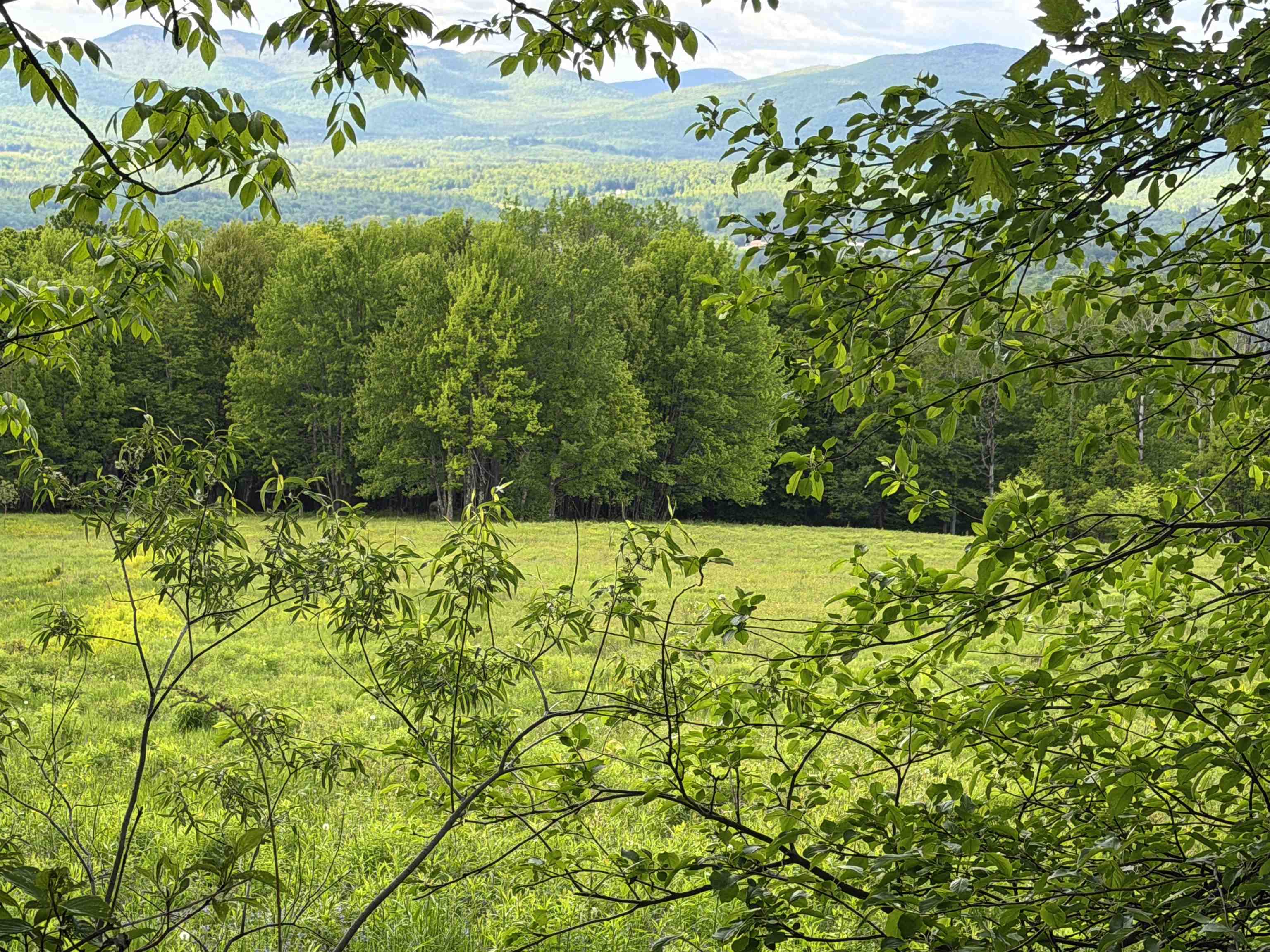877 Grow Road Johnson, VT 05656 - Photo 4 of 5