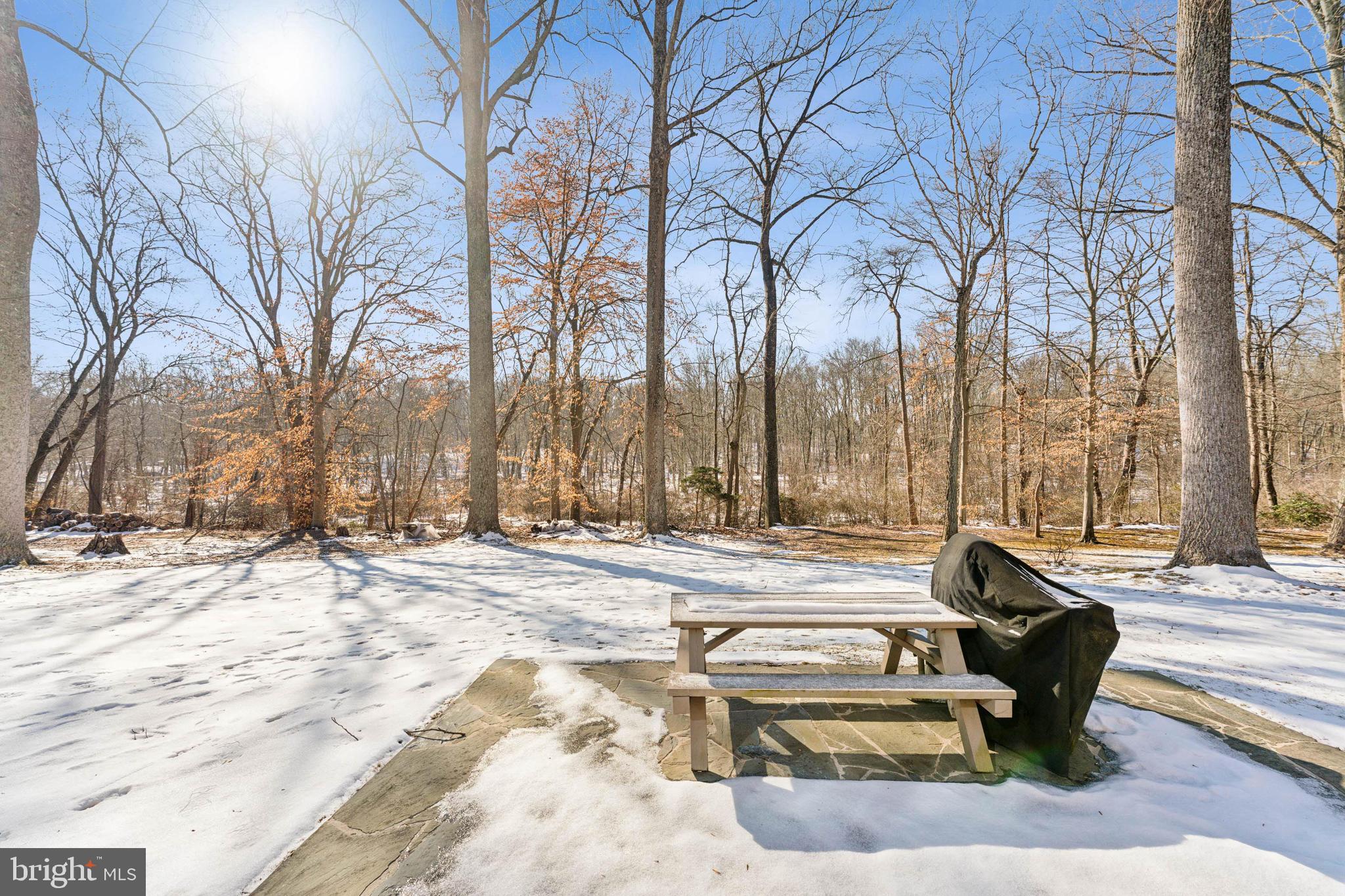 10205 Bald Hill Road Bowie, MD 20721 - Photo 36 of 43 REAR VIEW