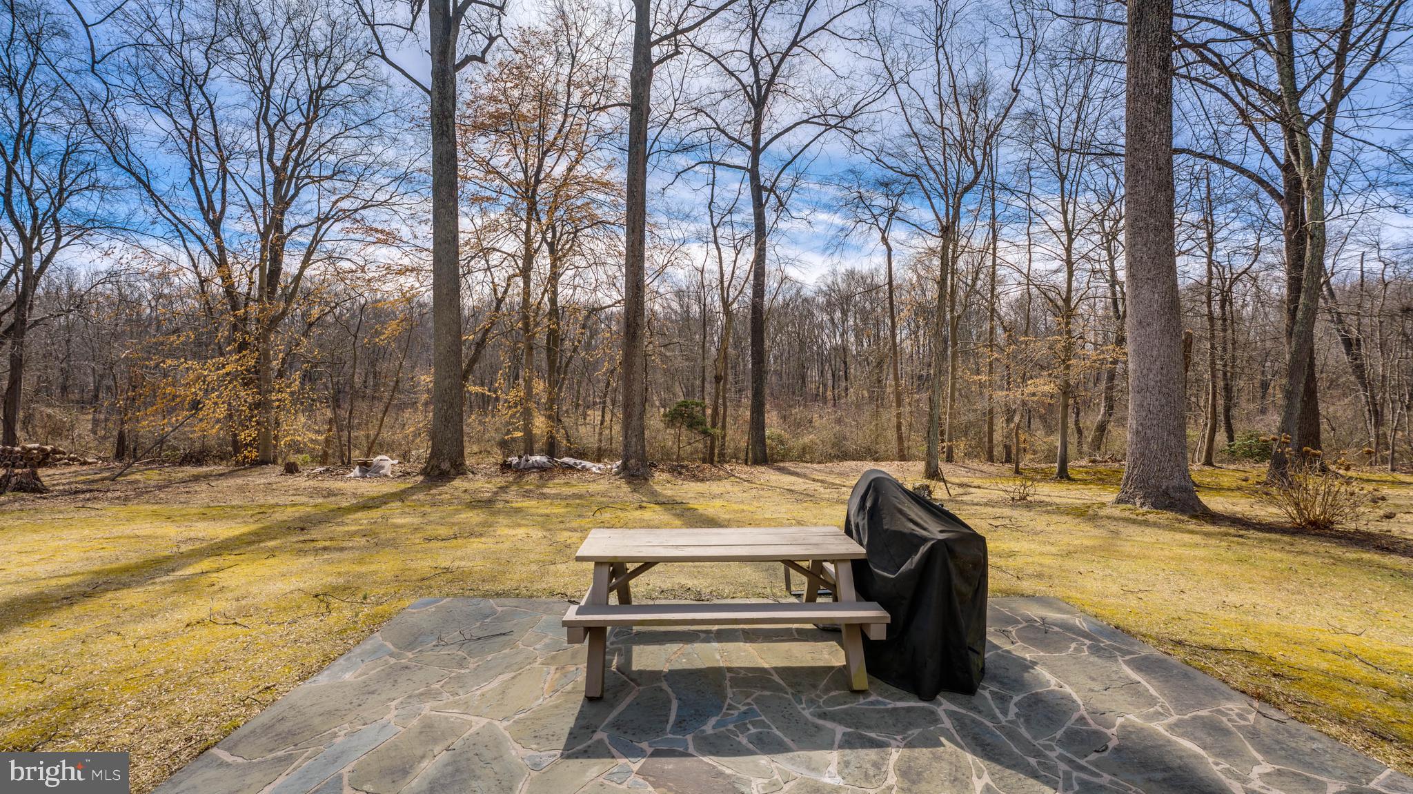 10205 Bald Hill Road Bowie, MD 20721 - Photo 43 of 43 PATIO PAD
