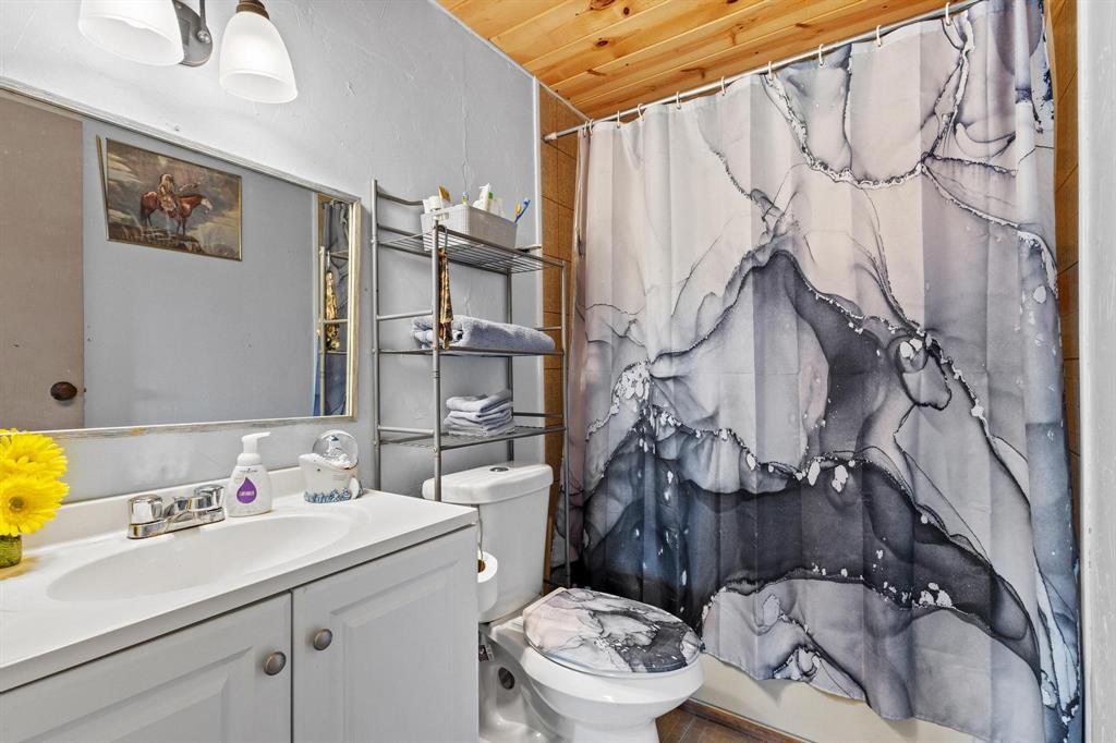 489 Delphia Drive Denison, TX 75021 - Photo 25 of 40 a bathroom with a sink toilet and shower