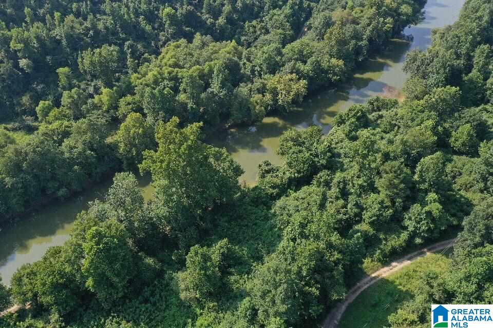 0 Sherwood Forest Road, Unit 1 Empire, AL 35063 - Photo 5 of 7