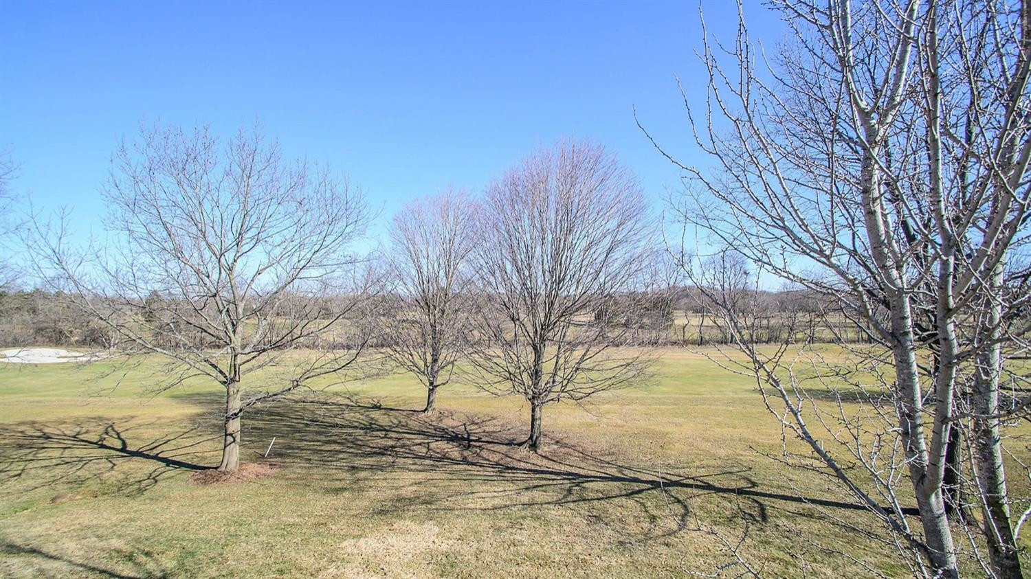 3100 Timberview Road Saline, MI 48176 - Photo 61 of 96 Photo 61