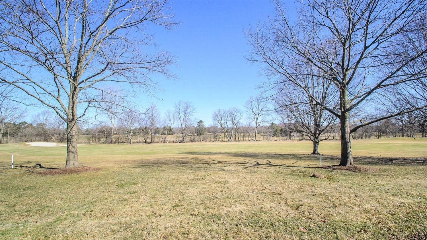 3100 Timberview Road Saline, MI 48176 - Photo 9 of 96 Photo 9