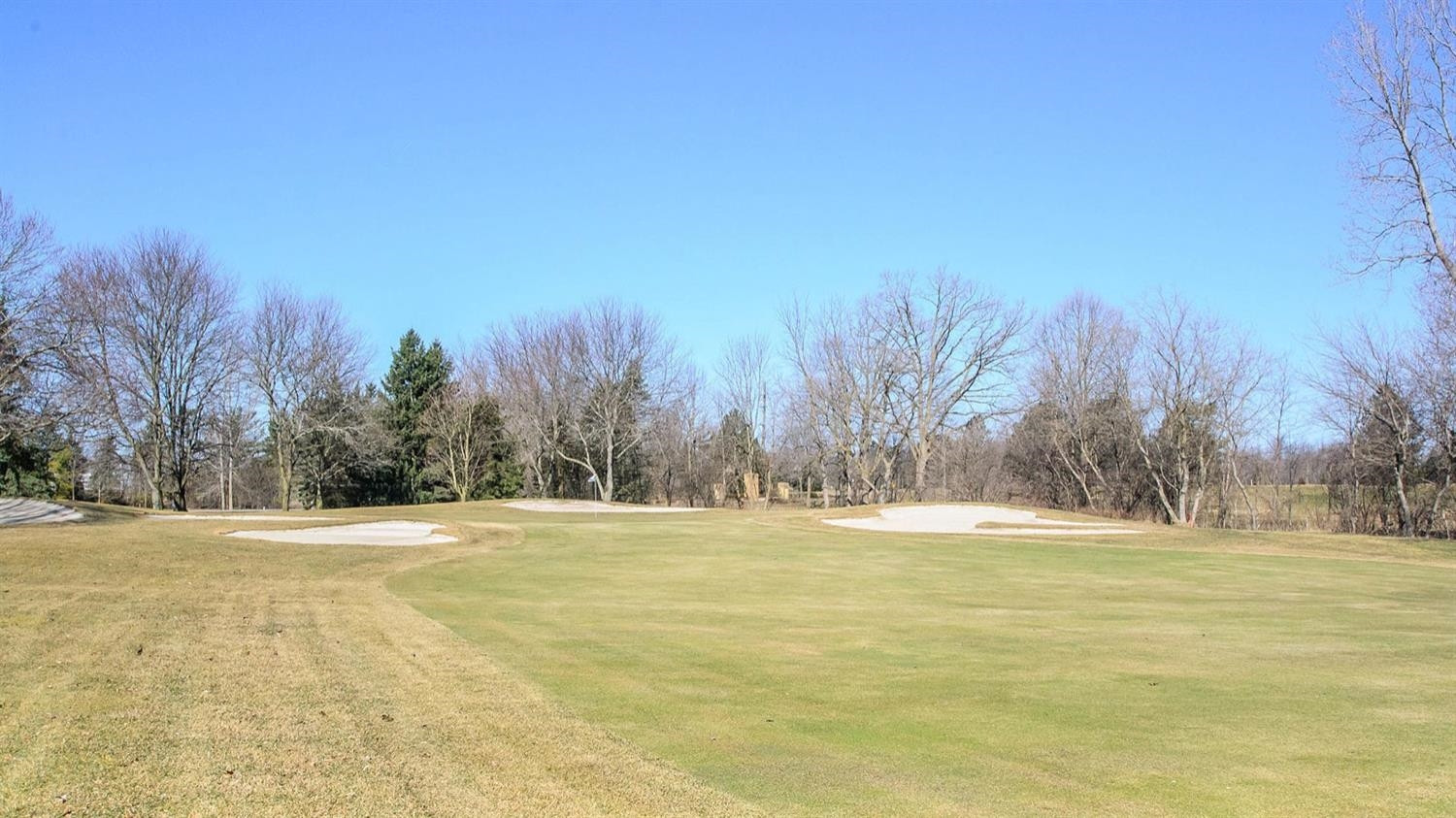 3100 Timberview Road Saline, MI 48176 - Photo 10 of 96 Photo 10