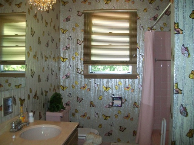 718 71st Street Darien, IL 60561 - Photo 6 of 12