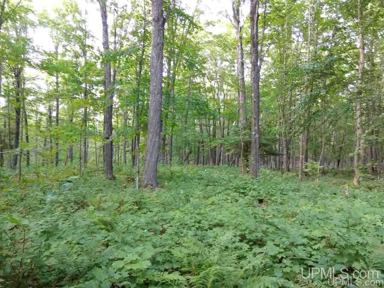 Tbd Sandstone B Road Lake Linden, MI 49945 - Photo 49 of 50