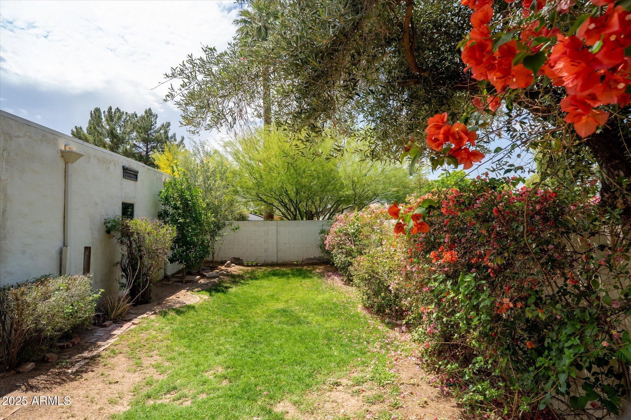 356 West Roma Avenue Phoenix, AZ 85013 - Photo 54 of 60 Backyard