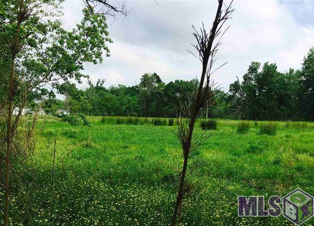 Lot A East Miller Road Prairieville, LA 70769 - Photo 1 of 5 1.203 Acres Lot A 1-E
