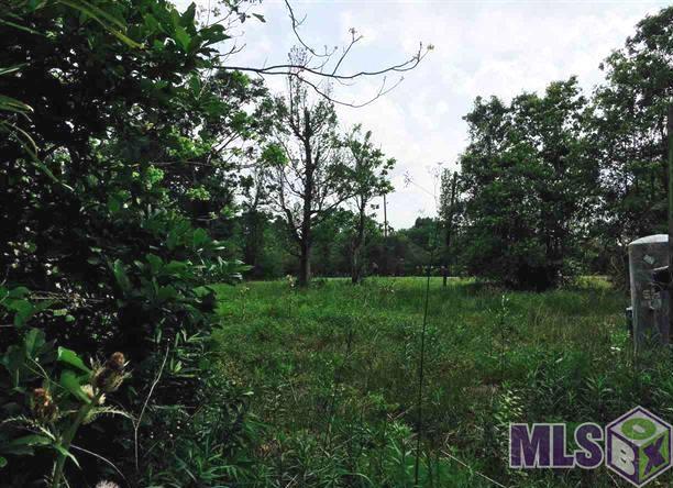 Lot A East Miller Road Prairieville, LA 70769 - Photo 4 of 5 Gallery Image 4
