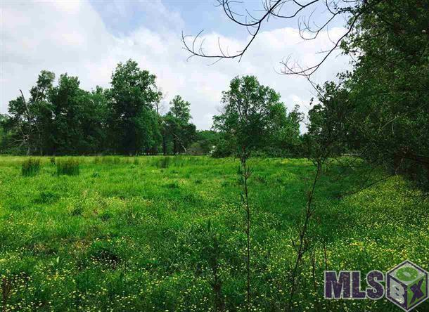Lot A East Miller Road Prairieville, LA 70769 - Photo 5 of 5 Gallery Image 5