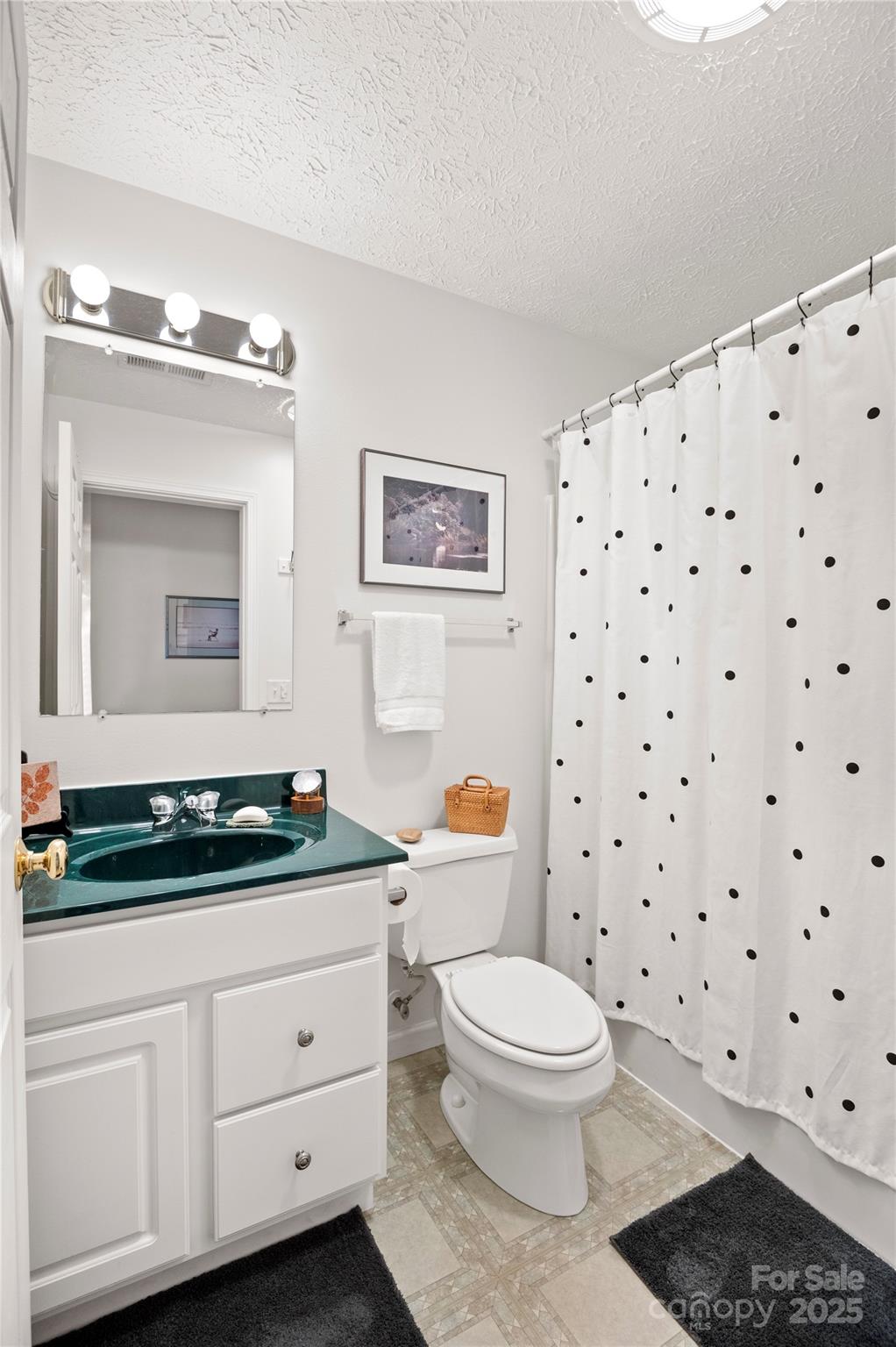 204 Pembrook Road Swannanoa, NC 28778 - Photo 13 of 15 a bathroom with a sink a toilet a mirror and shower curtain