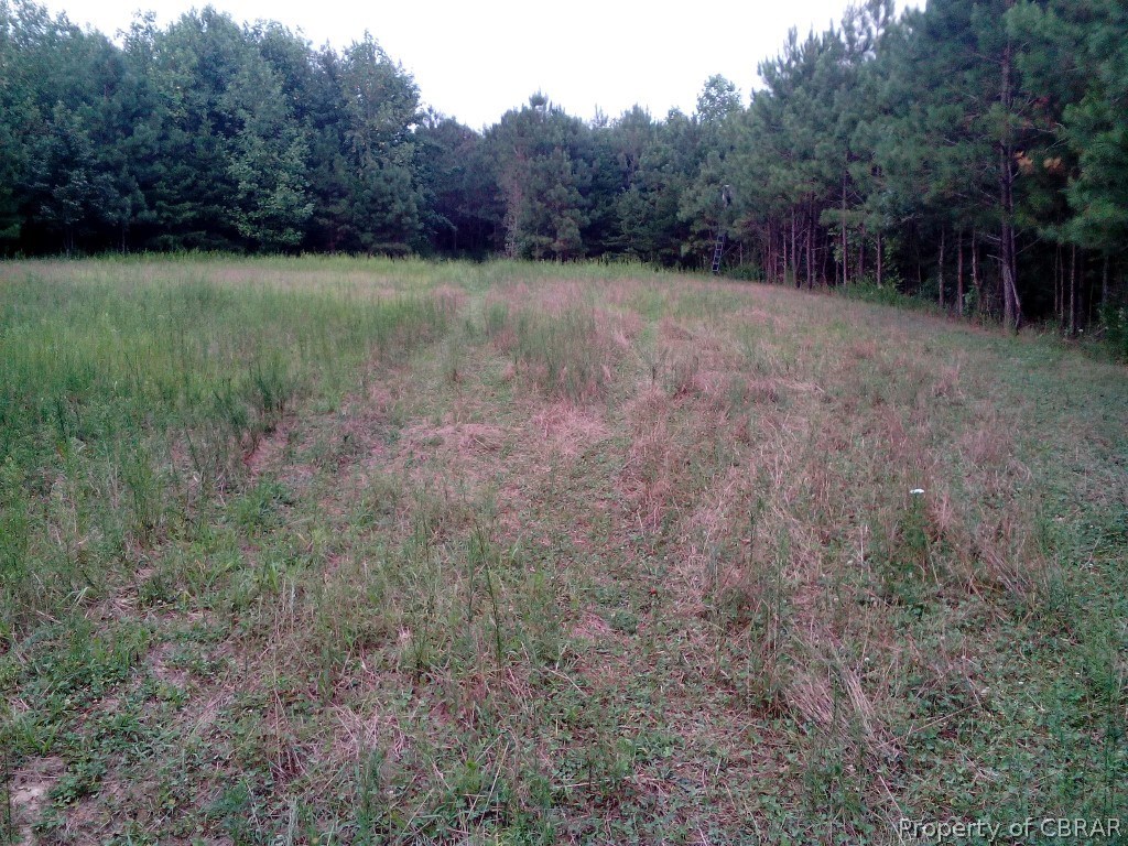 57.4-ac 57.4-ac Poplar Grove Road Center Cross, VA 22437 - Photo 11 of 12