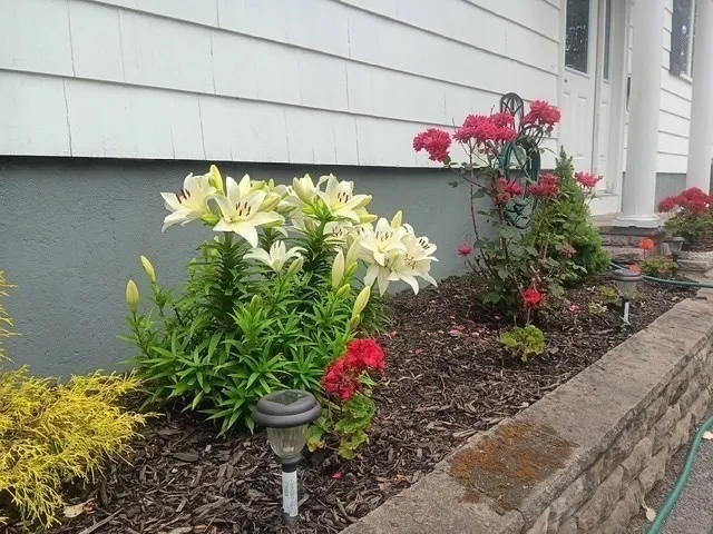 $579,900 | 24 Lily Street, Lynn, MA 01902