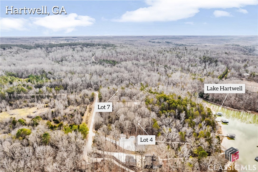 0 Paynes Creek Road, Unit LOT 7 Hartwell, GA 30643 - Photo 6 of 17