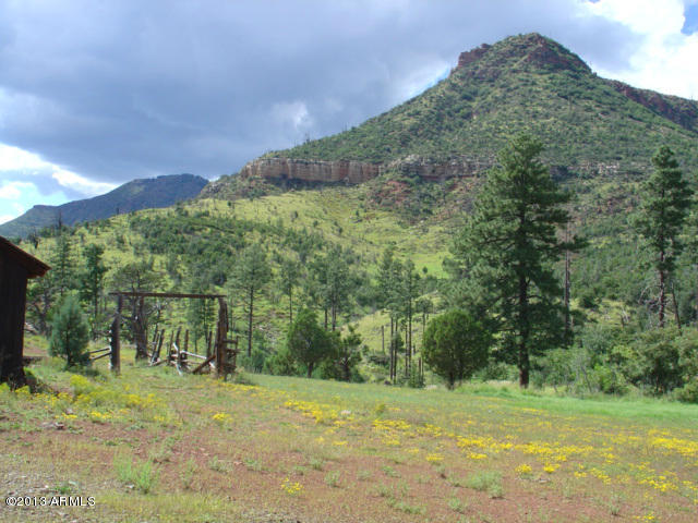 676 West Forest Service Road Payson, AZ 85541 - Photo 11 of 15 view 16