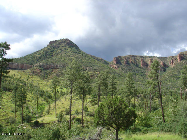 676 West Forest Service Road Payson, AZ 85541 - Photo 12 of 15 view 17