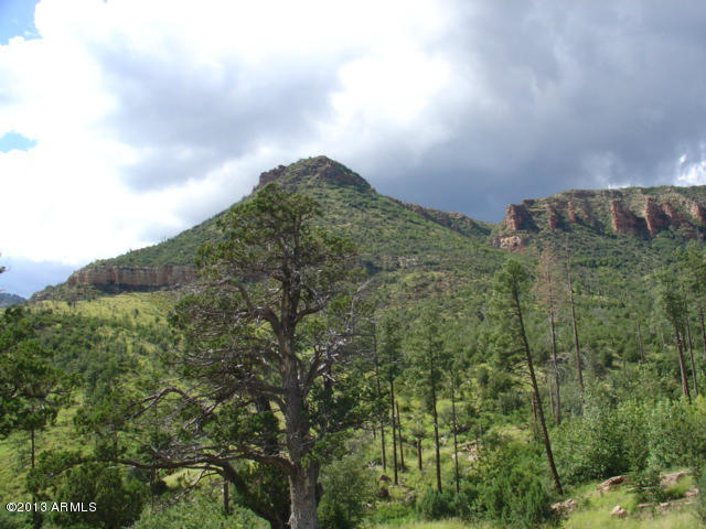 676 West Forest Service Road Payson, AZ 85541 - Photo 13 of 15 view 18