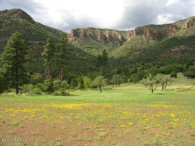 676 West Forest Service Road Payson, AZ 85541 - Photo 15 of 15 view 20