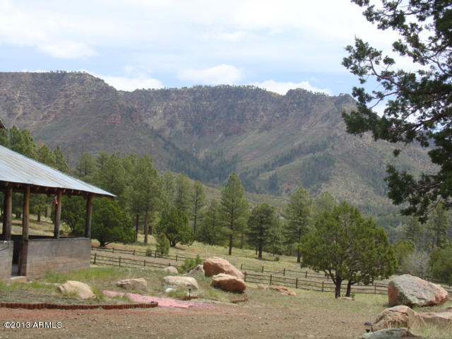 676 West Forest Service Road Payson, AZ 85541 - Photo 3 of 15 view1