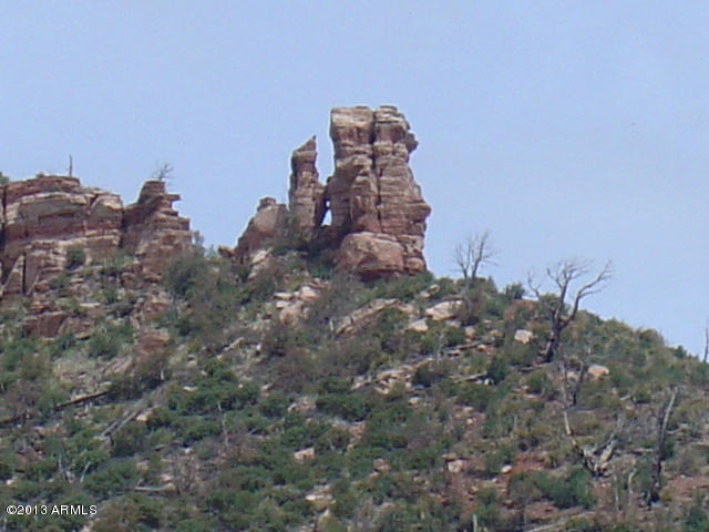 676 West Forest Service Road Payson, AZ 85541 - Photo 4 of 15 view2