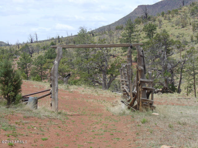 676 West Forest Service Road Payson, AZ 85541 - Photo 5 of 15 gate