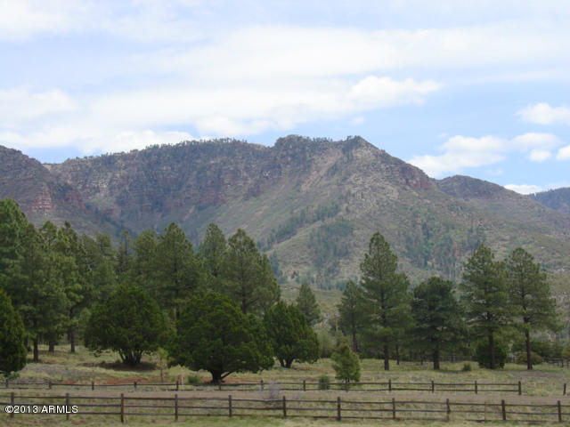 676 West Forest Service Road Payson, AZ 85541 - Photo 6 of 15 view6