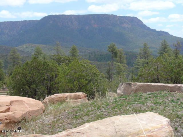 676 West Forest Service Road Payson, AZ 85541 - Photo 7 of 15 view10