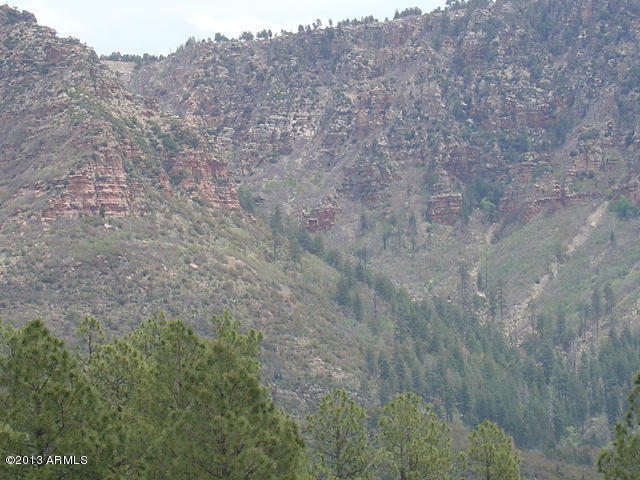 676 West Forest Service Road Payson, AZ 85541 - Photo 8 of 15 view11