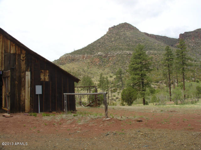 676 West Forest Service Road Payson, AZ 85541 - Photo 9 of 15 view12