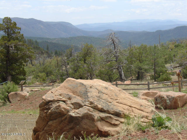 676 West Forest Service Road Payson, AZ 85541 - Photo 10 of 15 view13