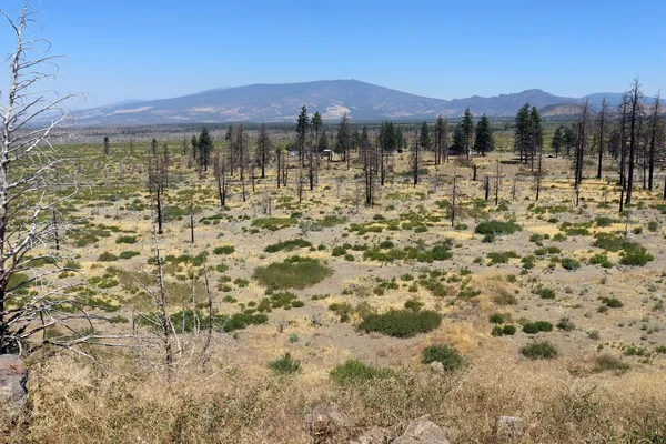 $47,000 | 0 Juniper Valley Drive, Weed, CA 96094
