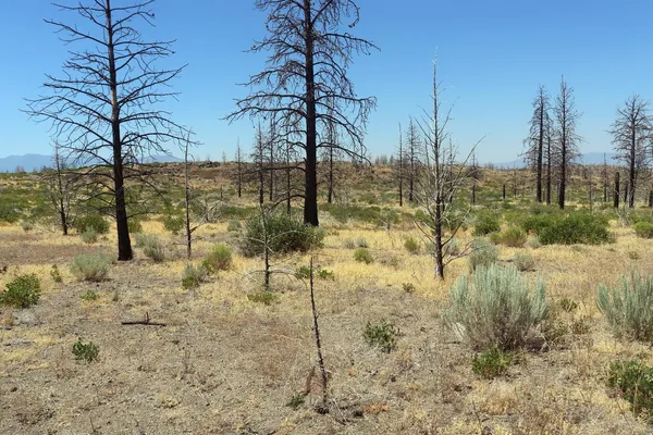 $47,000 | 0 Juniper Valley Drive, Weed, CA 96094