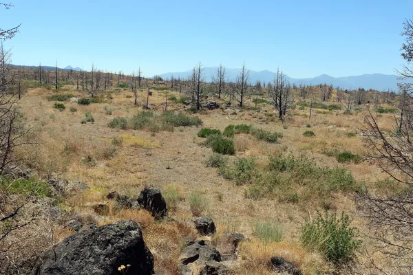 $47,000 | 0 Juniper Valley Drive, Weed, CA 96094