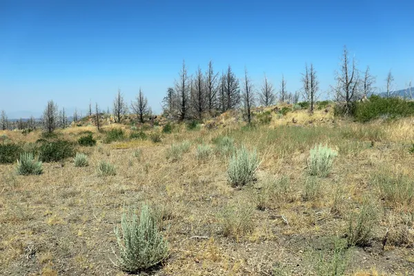 $47,000 | 0 Juniper Valley Drive, Weed, CA 96094