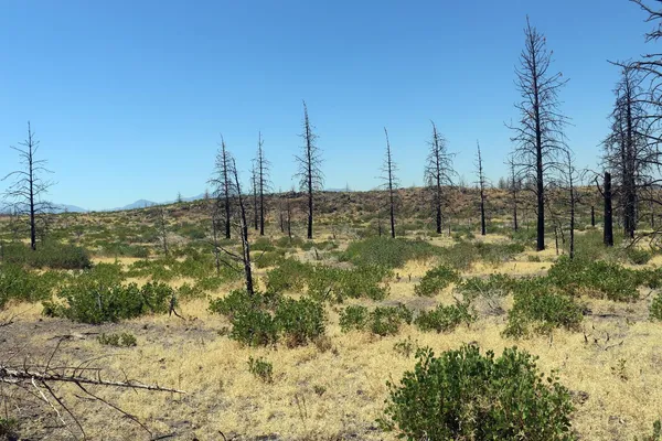 $47,000 | 0 Juniper Valley Drive, Weed, CA 96094