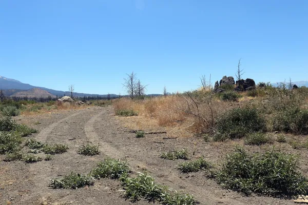 $47,000 | 0 Juniper Valley Drive, Weed, CA 96094