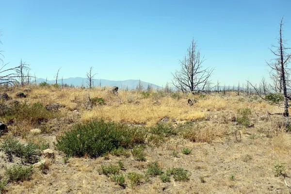 $47,000 | 0 Juniper Valley Drive, Weed, CA 96094