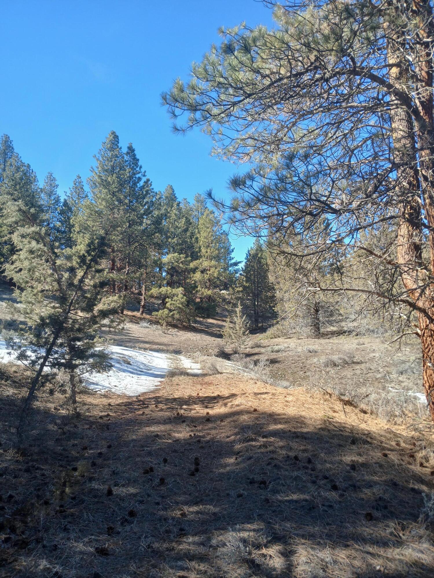 0 Drews Road Chiloquin, OR 97624 - Photo 12 of 14 20250324_154205