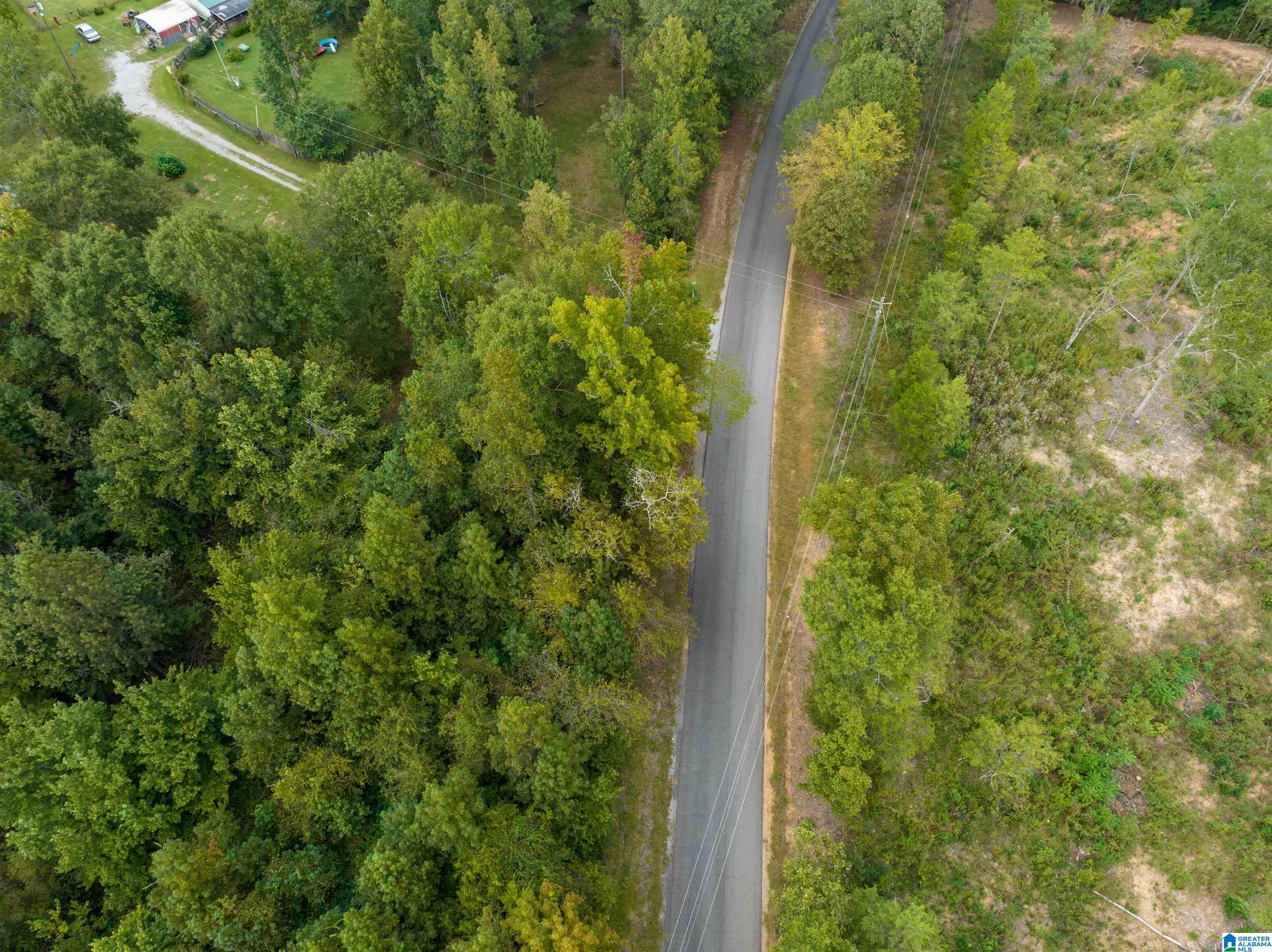 0 Campbell Road Munford, AL 36268 - Photo 10 of 13