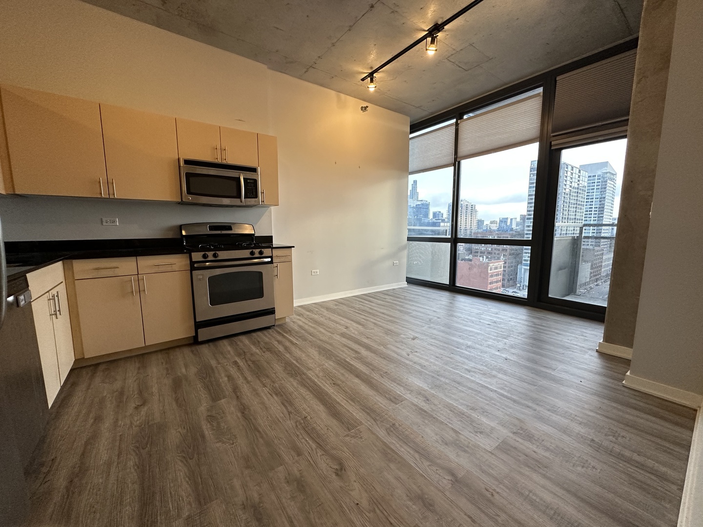 235 West Van Buren Street, Unit 1804 Chicago, IL 60607 - Photo 3 of 15