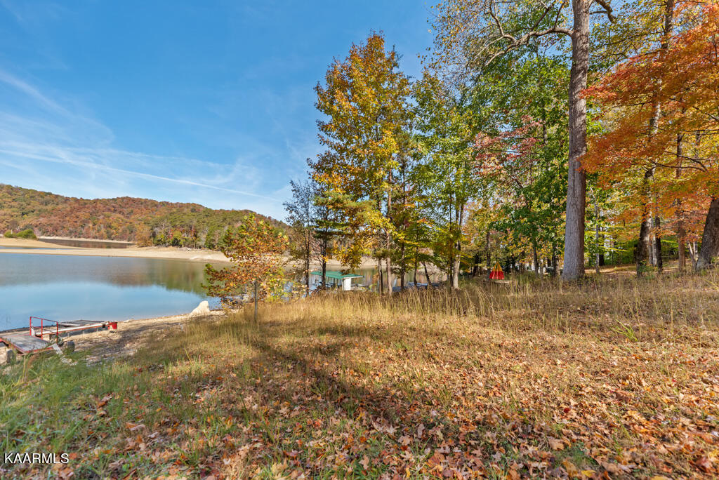 407 Jess Perry Road Maynardville, TN 37807 - Photo 30 of 38 JssPrry407 (90)