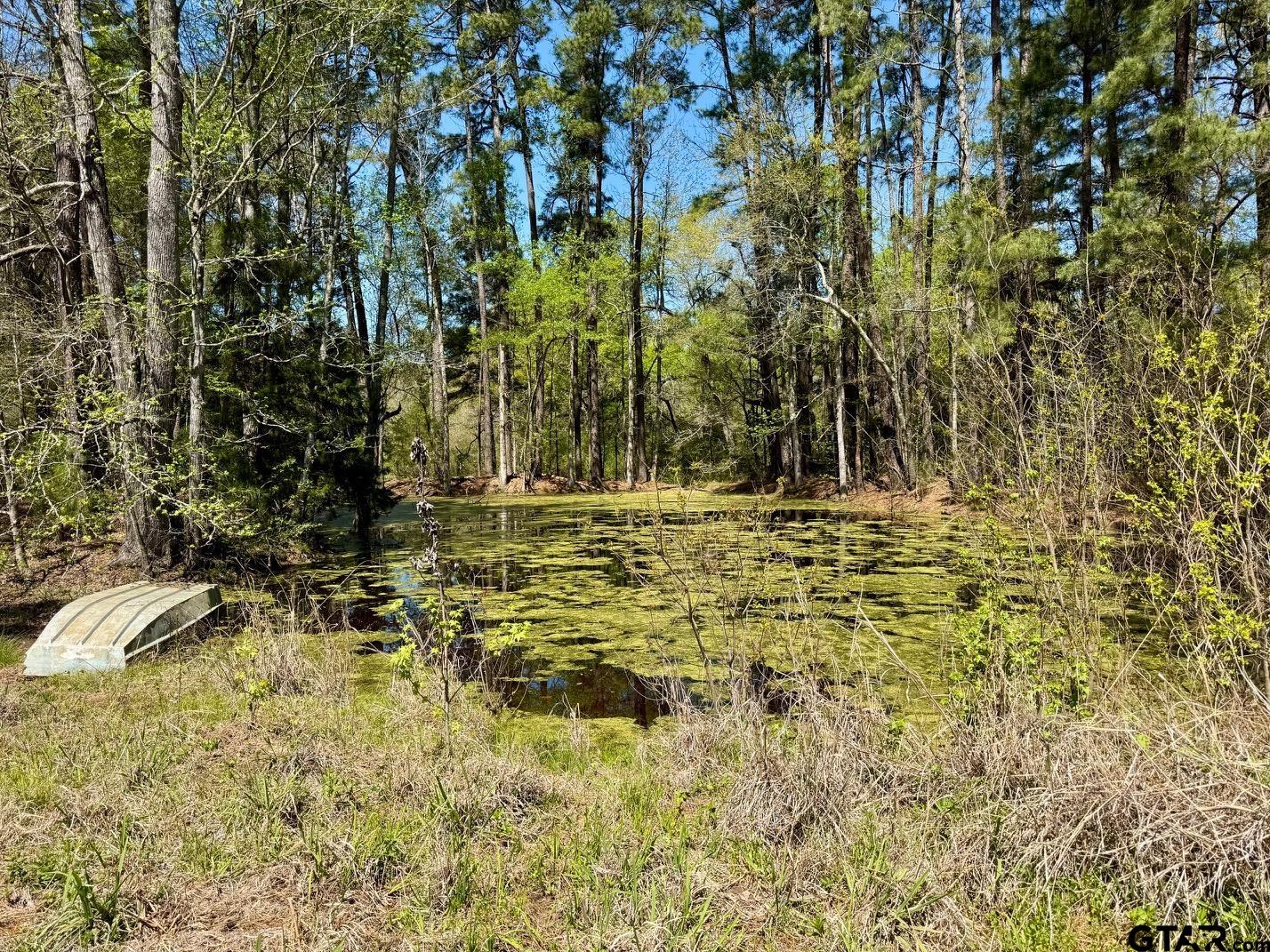 186 Highway 7 Crockett, TX 75835 - Photo 32 of 41