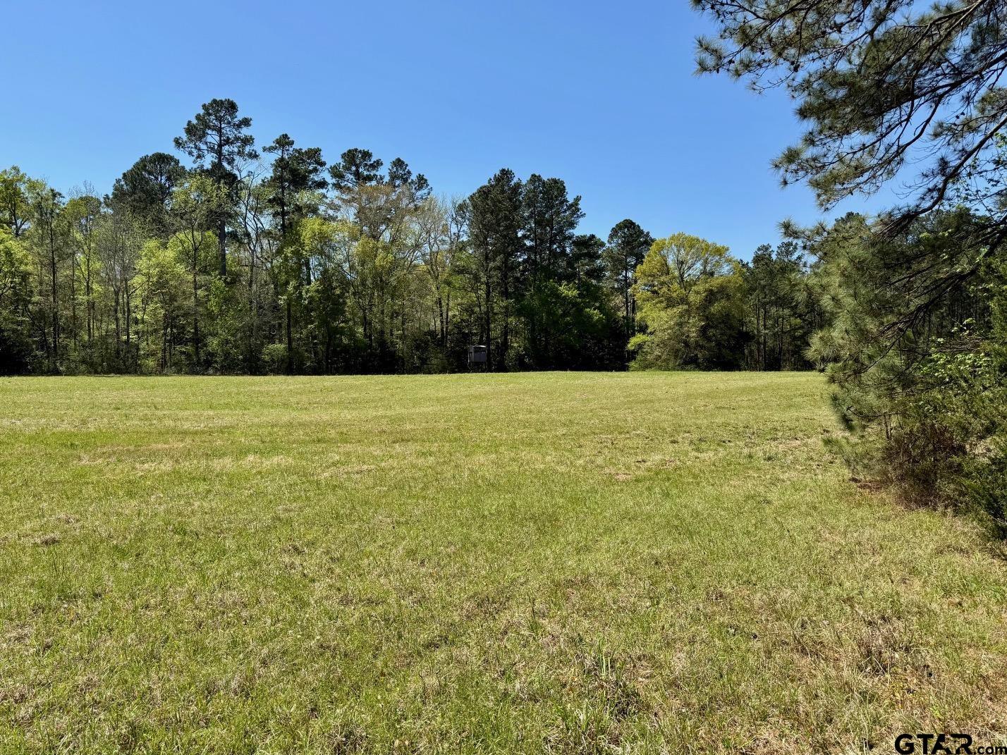 186 Highway 7 Crockett, TX 75835 - Photo 33 of 41