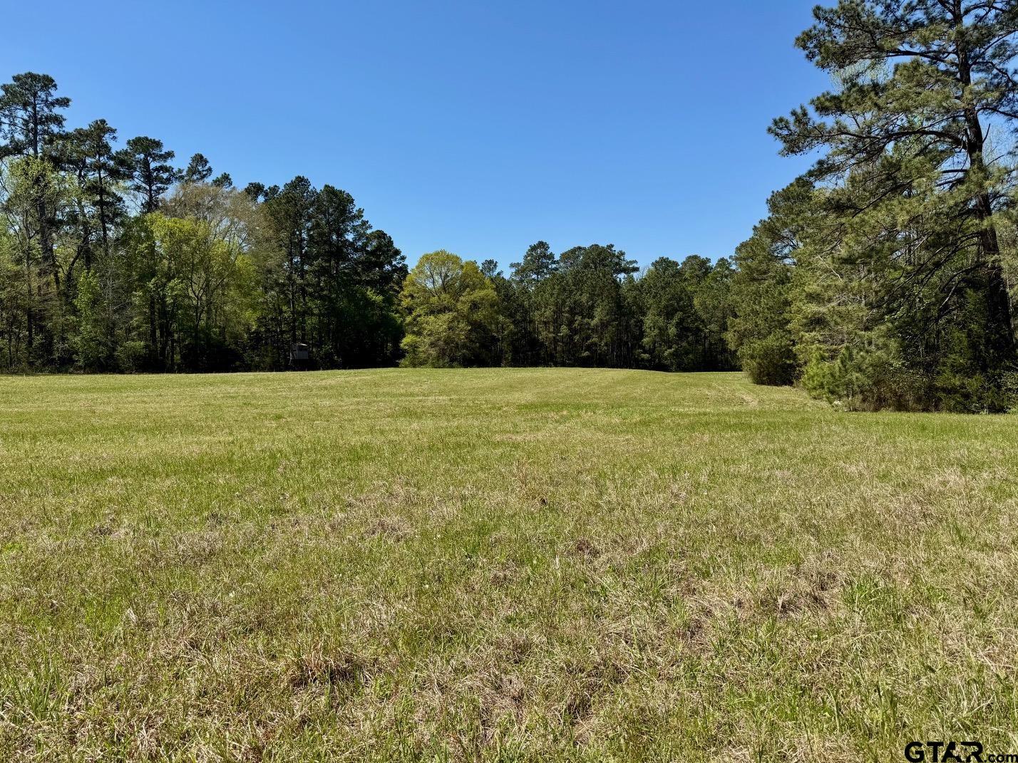 186 Highway 7 Crockett, TX 75835 - Photo 35 of 41