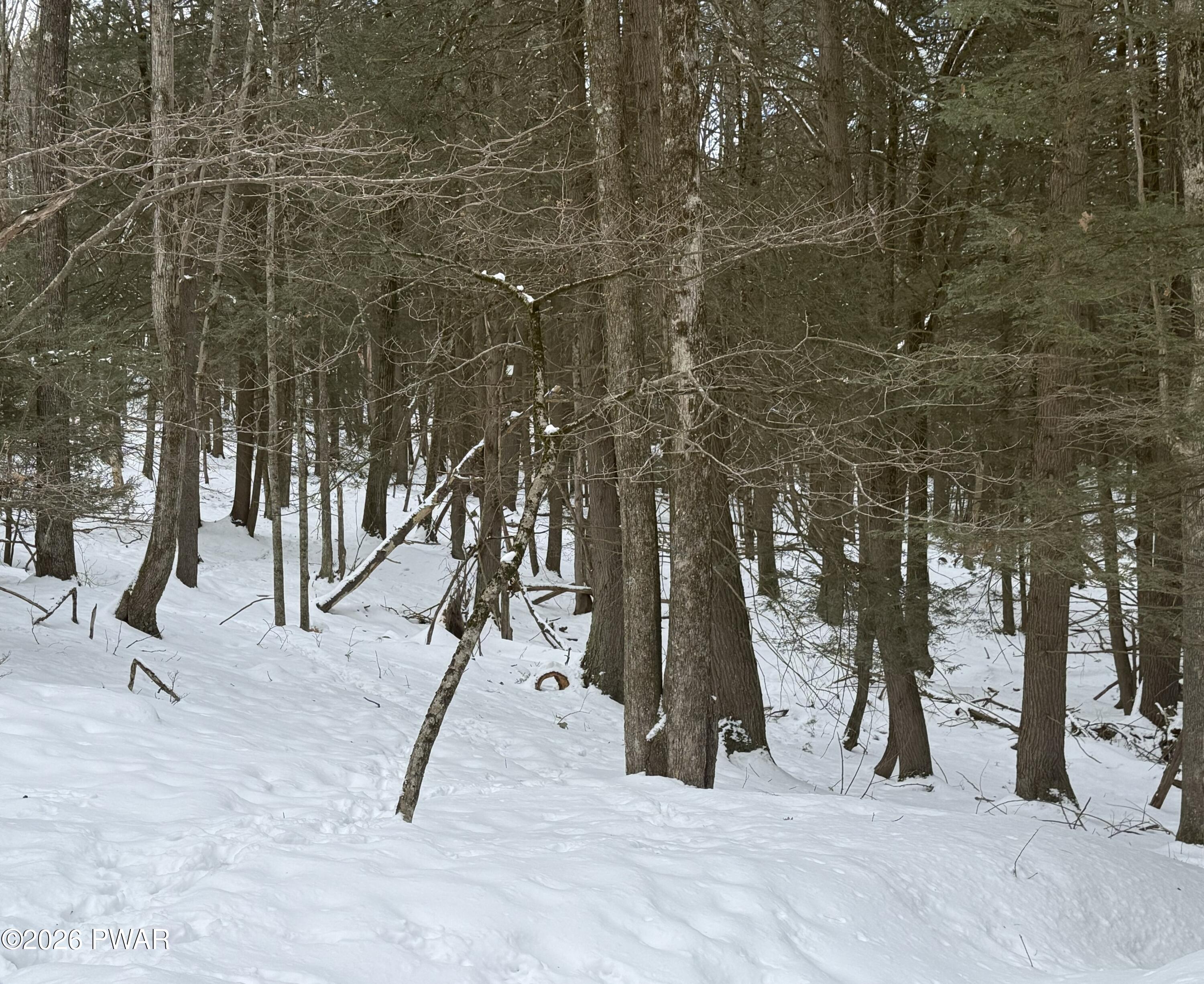 Watermill Road Paupack, PA 18451 - Photo 2 of 3