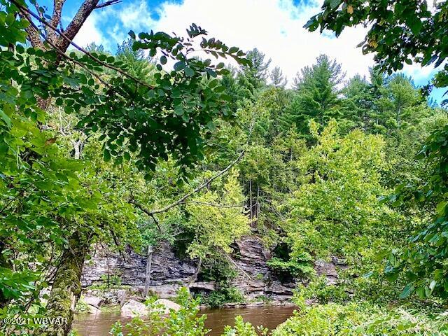 520 Splash Dam Road Forksville, PA 18616 - Photo 4 of 13 Gallery Image 4