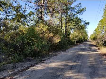440 Clark's Landing Road Carrabelle, FL 32322 - Photo 1 of 1 Gallery Image 1