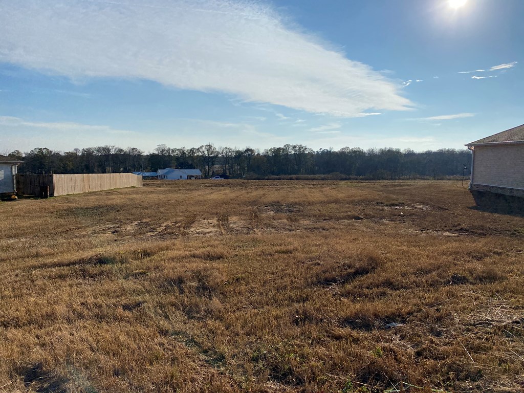 1.958 Middleton Road Dothan, AL 36301 - Photo 2 of 4